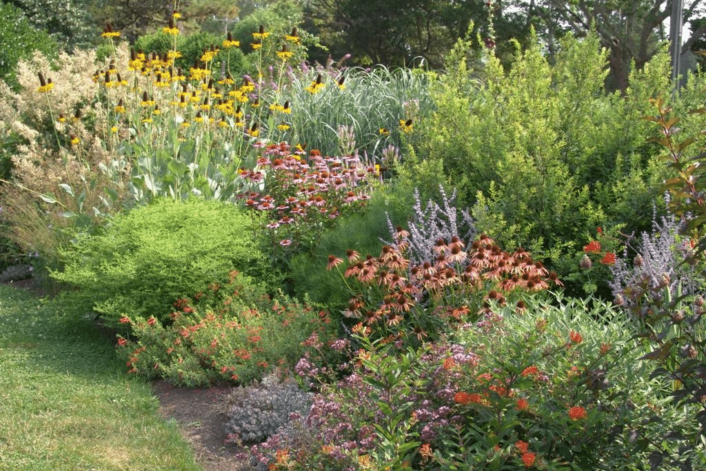 native-plants native-plants