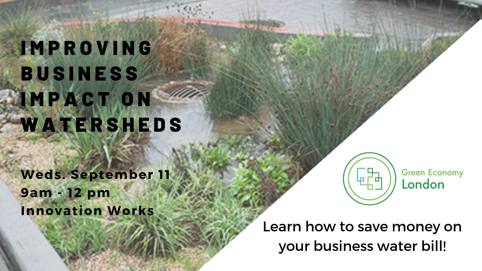 improving-business-impact-on-watersheds improving-business-impact-on-watersheds