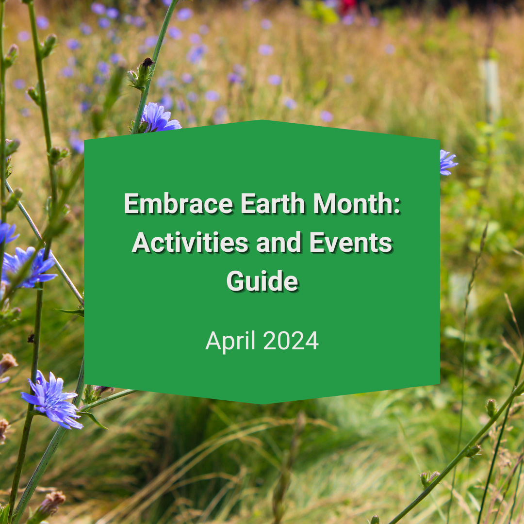 Embrace Earth Month: Activities and Events Guide